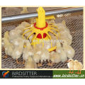 Modern BIRDSITTER chicken use automatic tube chicken equipment